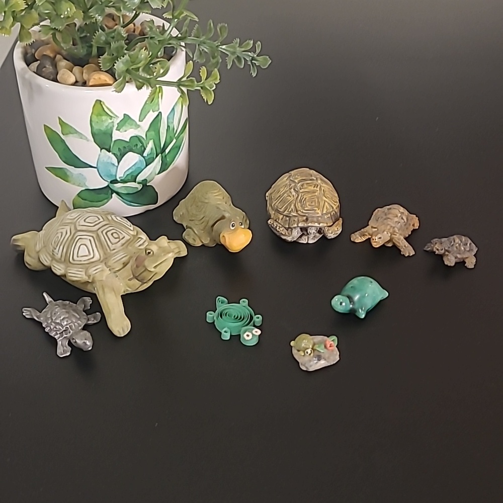 Mini Turtle Collection
